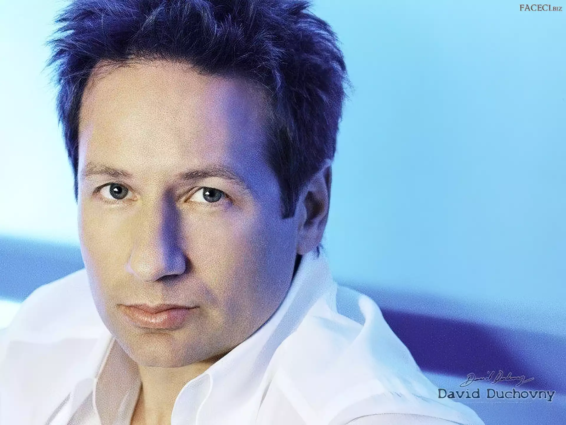 ciemne włosy, David Duchovny, biała koszula